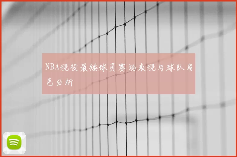 NBA现役最矮球员赛场表现与球队角色分析