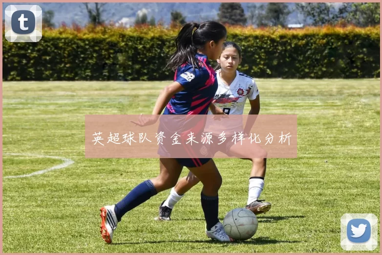 英超球队资金来源多样化分析