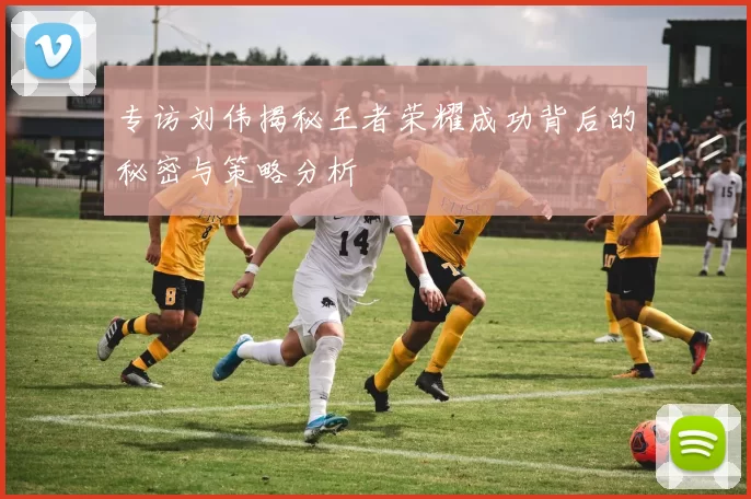 专访刘伟揭秘王者荣耀成功背后的秘密与策略分析