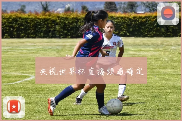央视世界杯直播频道确定