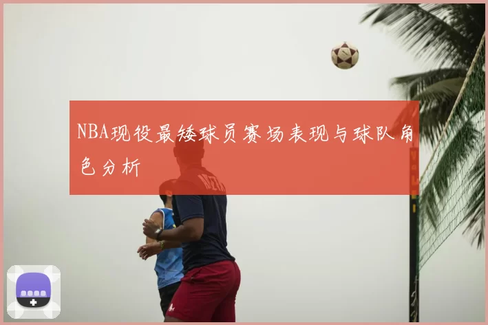 NBA现役最矮球员赛场表现与球队角色分析