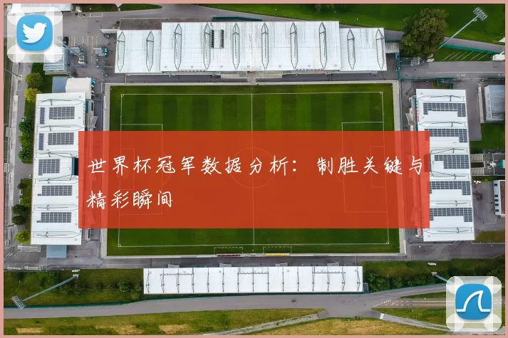 世界杯冠军数据分析:制胜关键与精彩瞬间