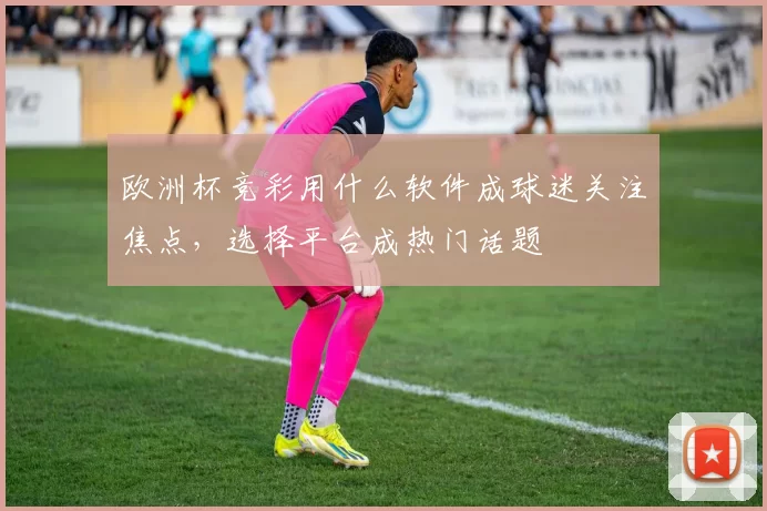 欧洲杯竞彩用什么软件成球迷关注焦点,选择平台成热门话题