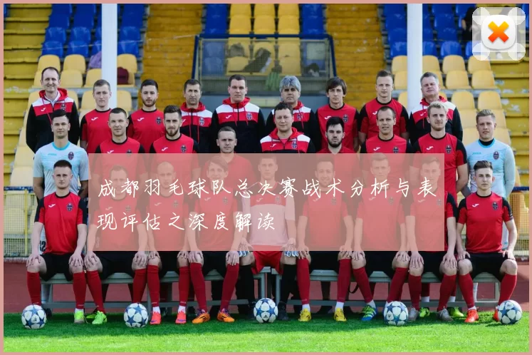 成都羽毛球队总决赛战术分析与表现评估之深度解读