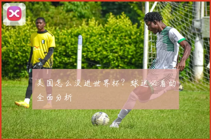 美国怎么没进世界杯?球迷必看的全面分析