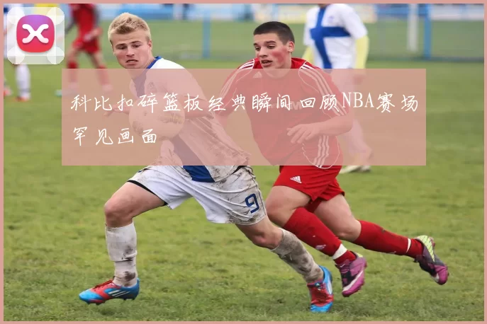 科比扣碎篮板经典瞬间回顾NBA赛场罕见画面