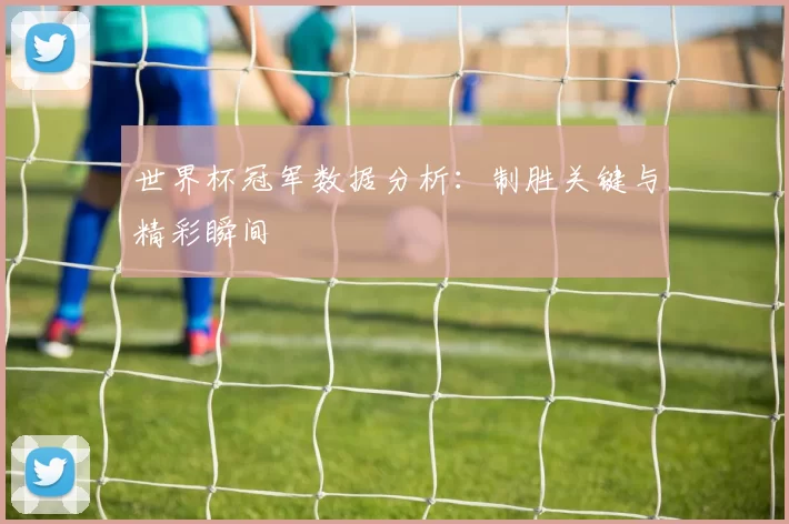 世界杯冠军数据分析:制胜关键与精彩瞬间