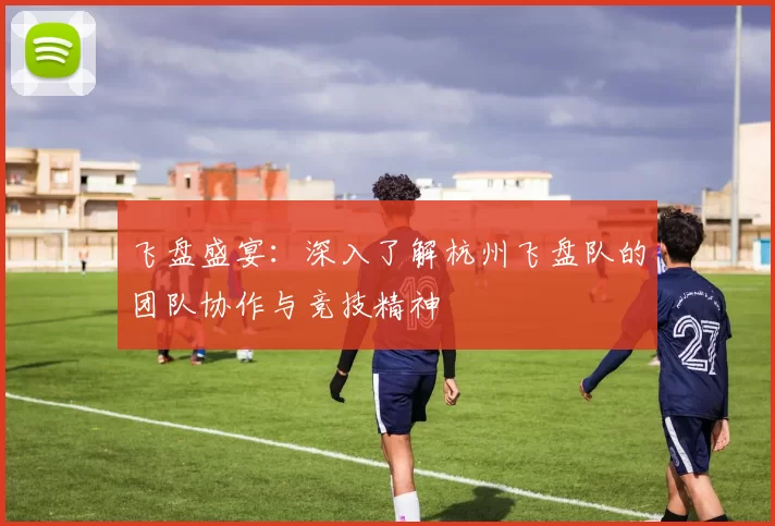 飞盘盛宴：深入了解杭州飞盘队的团队协作与竞技精神