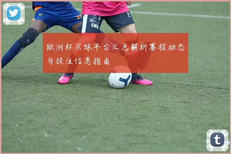 欧洲杯买球平台汇总解析赛程动态与投注信息指南