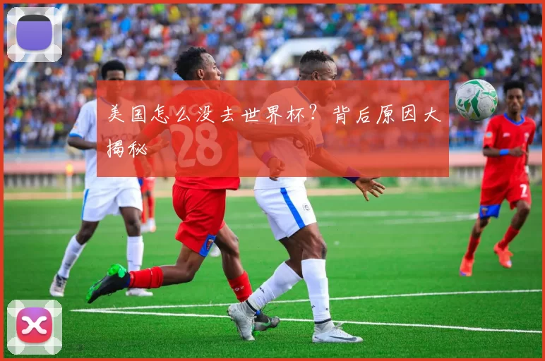 美国怎么没去世界杯?背后原因大揭秘