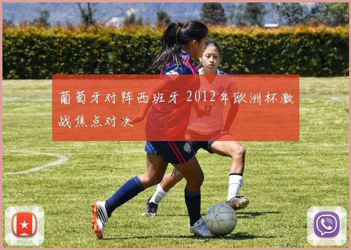 葡萄牙对阵西班牙 2012年欧洲杯激战焦点对决