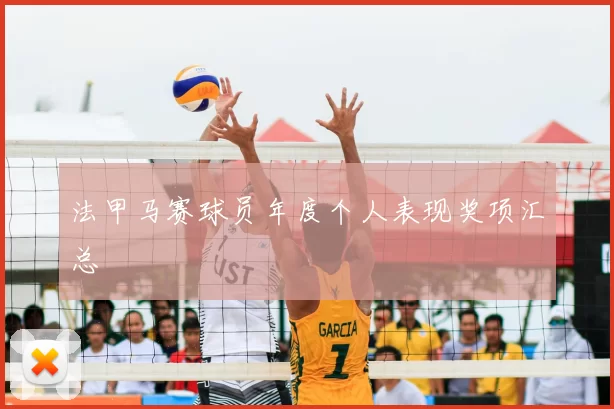 法甲马赛球员年度个人表现奖项汇总