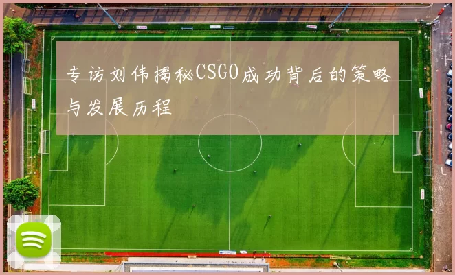 专访刘伟揭秘CSGO成功背后的策略与发展历程