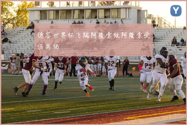 德容世界杯飞踹阿隆索致阿隆索受伤离场