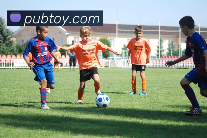 kaiyun平台生态图